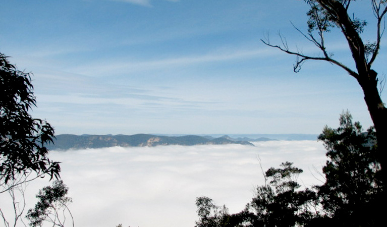 Burragorang lookout, Burragorang State Conservation Area. Photo: A Horton/NSW Government