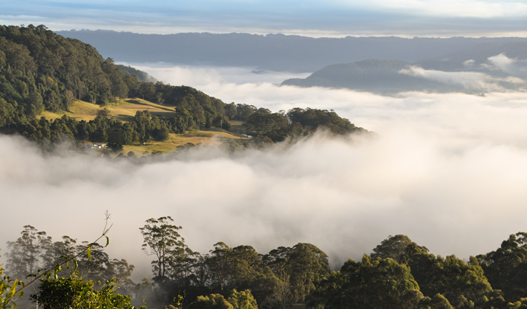 Morning Fog, Cambewarra Range Nature Reserve. Photo: J Devereaux/OEH