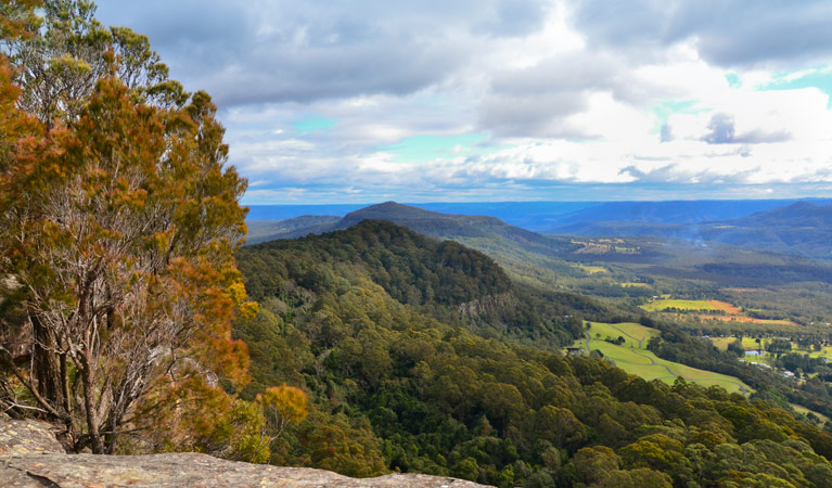 View from Red Rocks trig walking track, Cambewarra Range Nature Reserve. Photo: J Devereaux/OEH