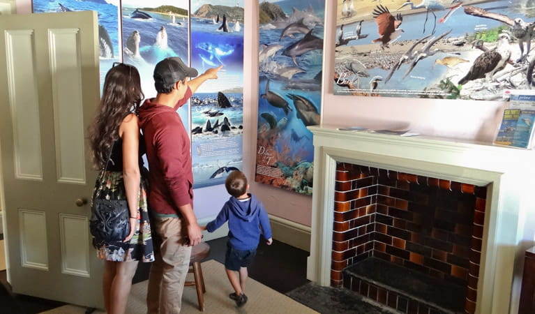 A family look at paintings of sea life in Cape Byron Information Centre, Cape Byron State Conservation Area. Photo &copy; Nathan Oliver