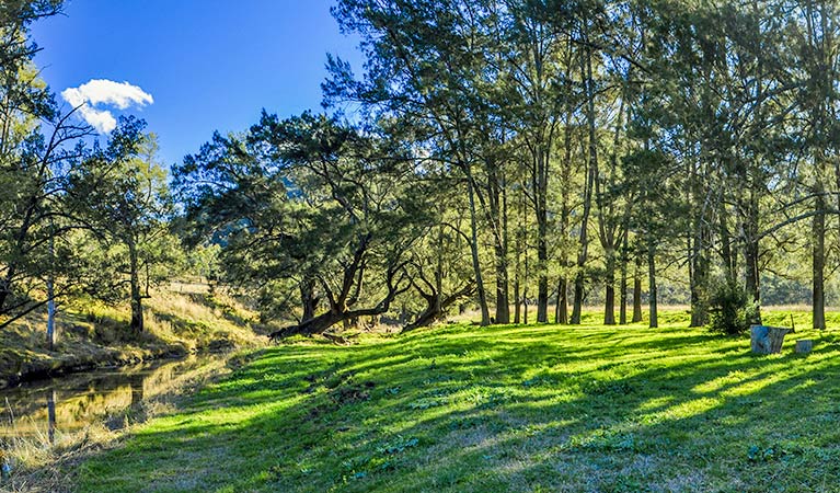 Capertee campground, Capertee National Park. Photo: Michelle Barton