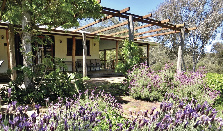 Capertee Homestead gardens, Capertee National Park. Photo: Anjee du Terreau/OEH