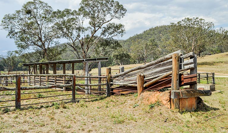 Capertee Woolshed ruins, Capertee National Park. Photo &copy; Michelle Barton