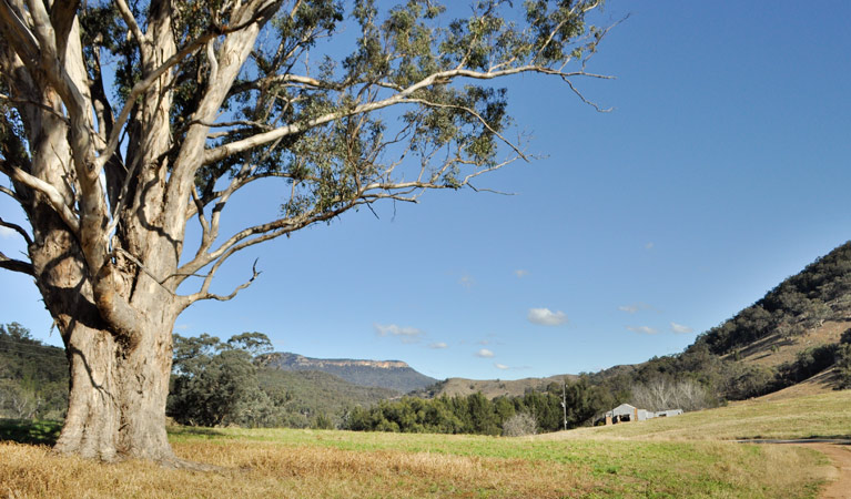 Capertee National Park. Photo: Michelle Barton/OEH