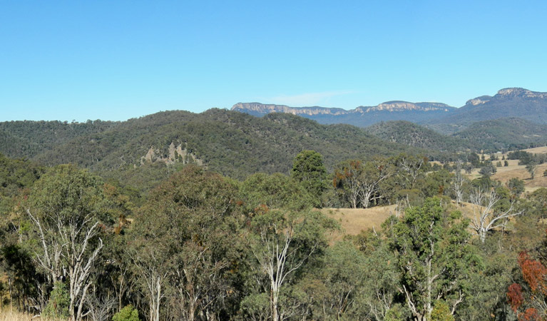 Capertee National Park. Photo: Michelle Barton/OEH