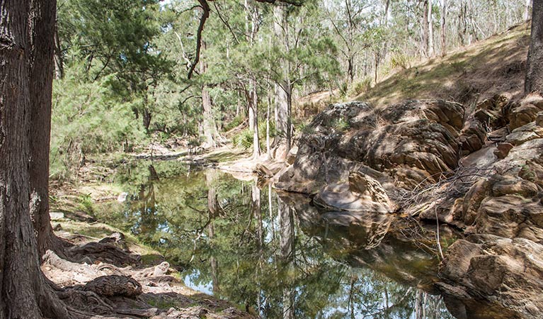 Policemans Point campground, Capertee National Park. Photo: Michelle Barton