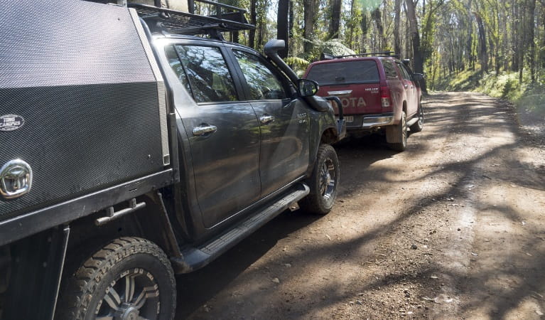 4WD vehicles travelling along Carrai and Coachwood trails. Photo credit: Leah Pippos. &copy; DPIE