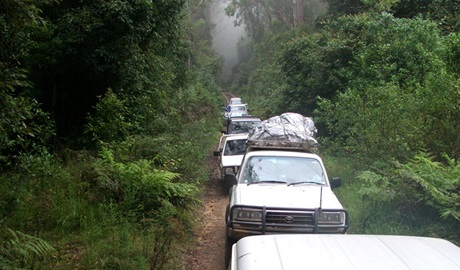 4WD, Carrai National Park. Photo: Piers Thomas/NSW Government