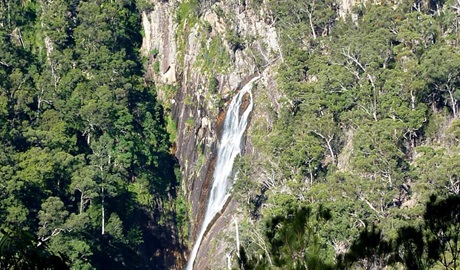 Daisy Plains huts, Carrai National Park. Photo: NSW Government