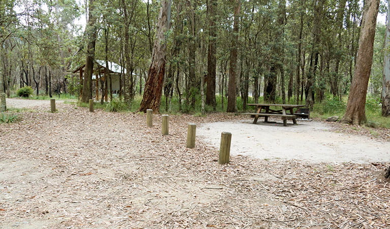 Barokee campground, with picnic table and a shelter in the distance surrounded by trees. Photo: Leah Pippos &copy; DPIE