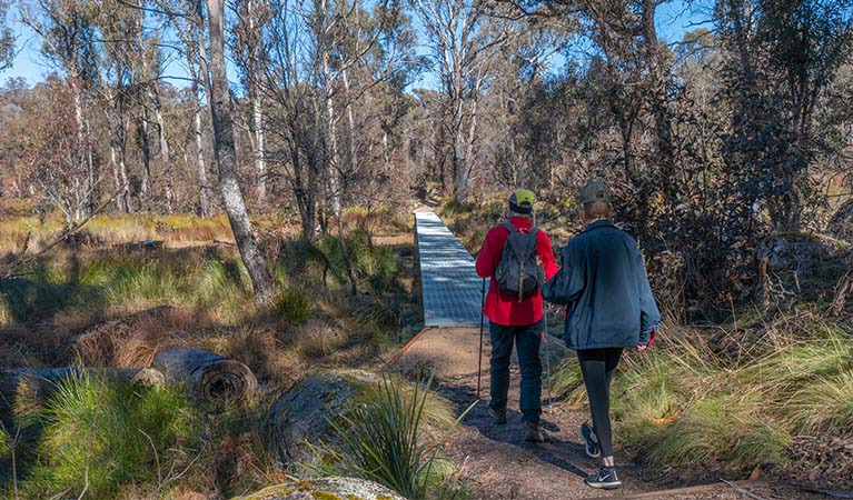 Walkers on Cathedral Rock walking track, Cathedral Rock National Park. Photo: Josh Smith &copy; DPE