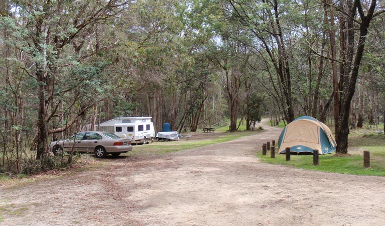 A tent set up near a car and campervan in Native Dog Campground, Cathedral Rock National Park. Photo: B Webster