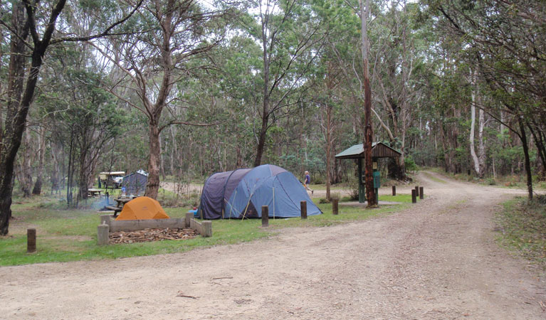 Tents set up near a picnic area at Native Dog campground, Cathedral Rock National Park. Photo: B Webster