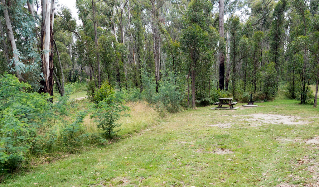 One of the campsites with a picnic table at Native Dog campground, Cathedral Rock National Park. Photo: Leah PIppos, &copy; DCCEEW