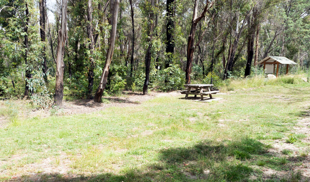 Campsite showing picnic table and signboard, Native Dog campground in Cathedral Rock National Park. Photo: Leah Pippos, &copy; DCCEEW