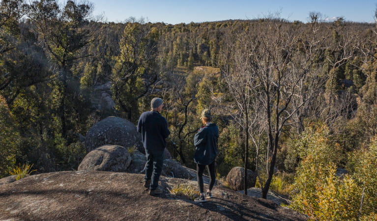 Warrigal walking track, Cathedral Rock National Park. Photo: Josh Smith &copy; DPE