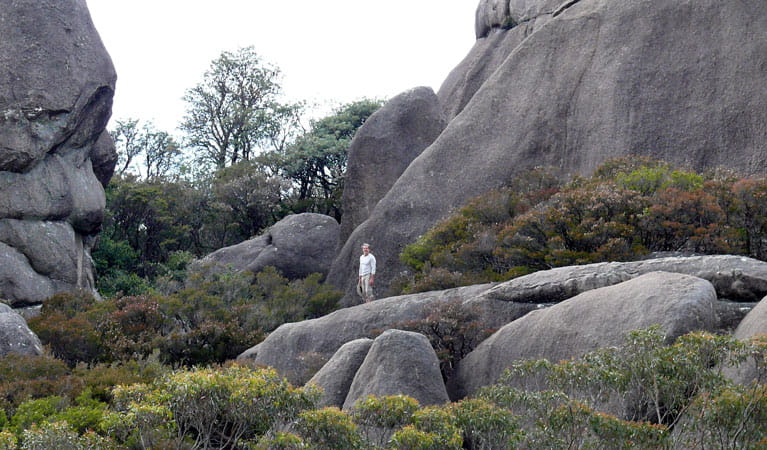 A person standing on towering boulders in Cathedral Rock National Park. Photo: A Ingarfield
