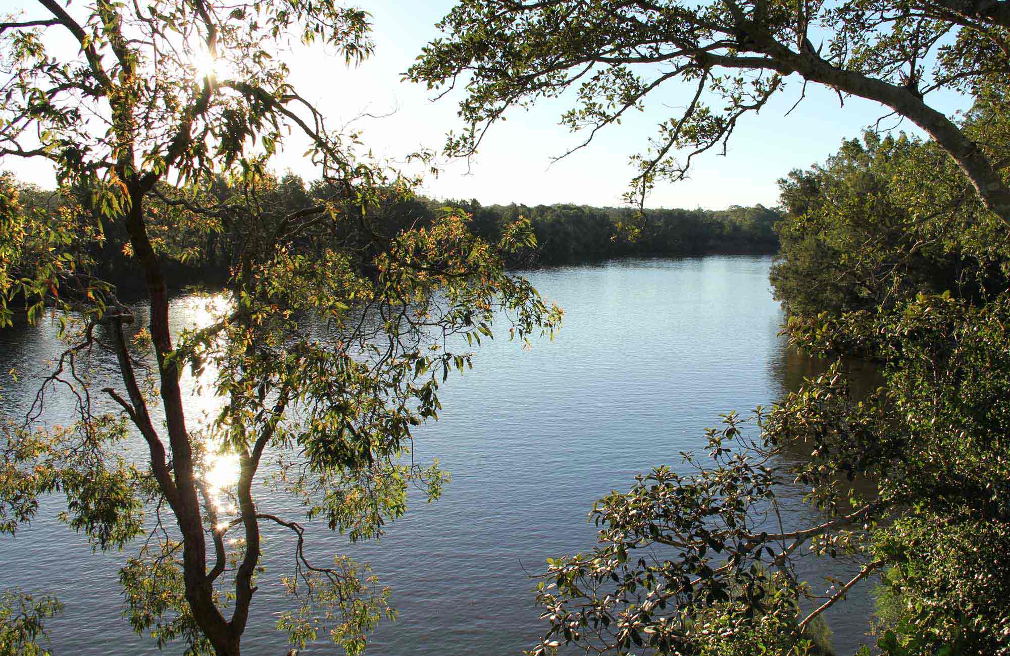 Cattai River lookout, Cattai National Park. Photo: John Yurasek