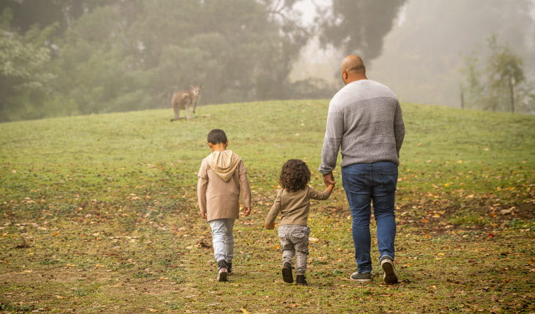A father walks with his children across a grassy area with a kangaroo in the background, at Cattai campground in Cattai National Park. Photo: John Spencer/OEH