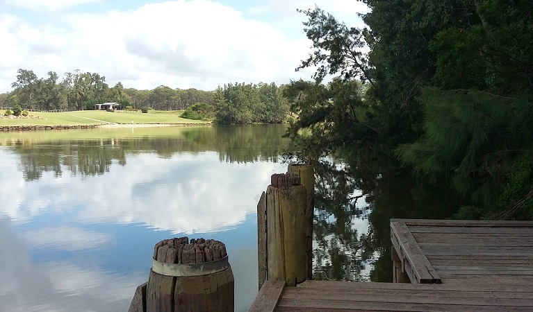 Grassed area, Cattai Farm picnic area. Photo: John Yurasek