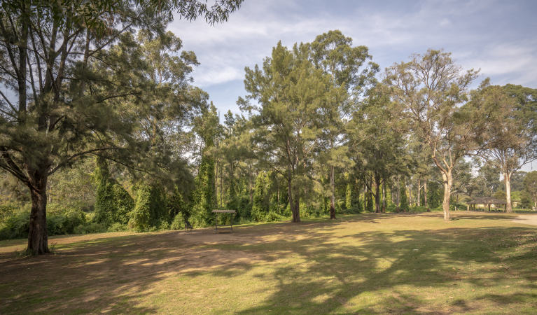 Open grassy areas with picnic sheds at Cattai Farm picnic area in Cattai National Park, on the Hawkesbury River. Photo: John Spencer/OEH