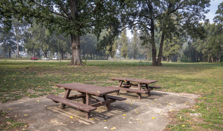 Two wooden picnic tables surrounded by open grassy areas at Cattai Farm picnic area in Cattai National Park. Photo: John Spencer/OEH