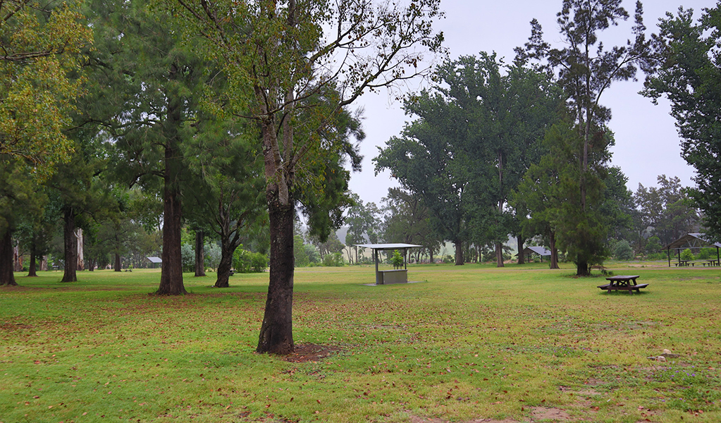 A barbeque and picnic sheds at Cattai Farm picnic area in Cattai National Park, on the Hawkesbury River. Photo: David Bush &copy; DPE