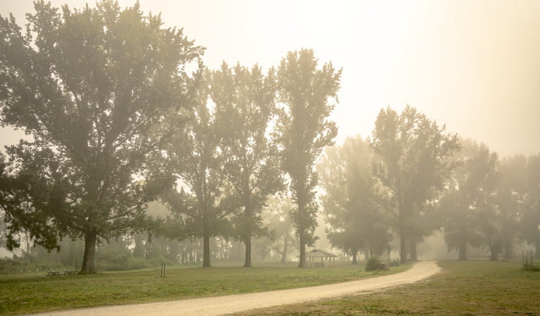 A dirt road winding through Cattai Farm picnic area on a misty morning in Cattai National Park. Photo: John Spencer/OEH