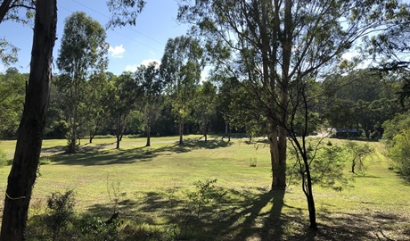 The green, tree-lined space of Mitchell Park picnic area, Cattai National Park. Photo: Cameron Wade/the photographer