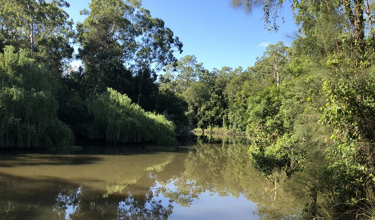 Cattai Creek, Mitchell Park picnic area, Cattai National Park. Photo: Cameron Wade/the photographer 