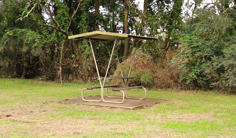 Mitchell Park picnic area. Photo: John Yurasek/OEH