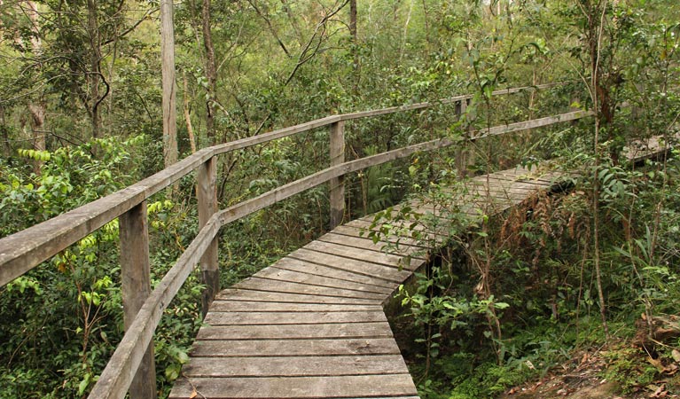 Boardwalk along Mitchell Park walking track. Photo: John Yurasek/OEH