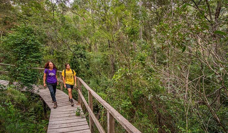 A man and woman walk along raised boardwalk on Rainforest walking track, Cattai National Park.  Photo: John Spencer &copy; OEH