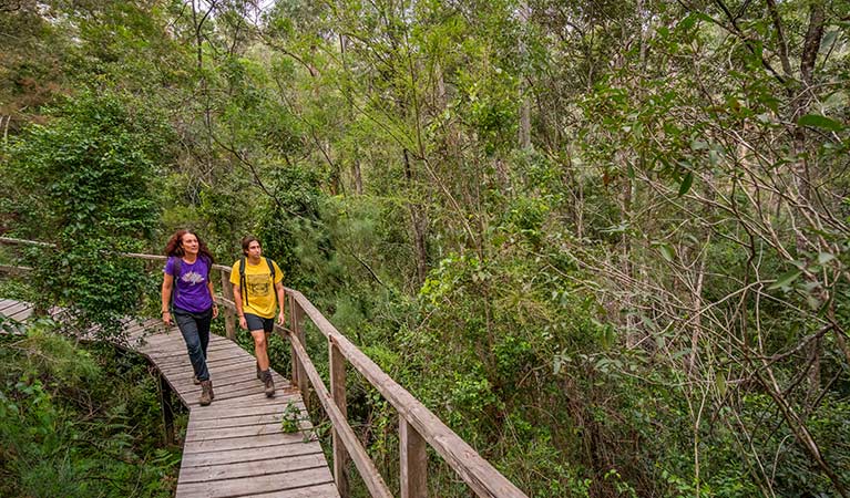 A man and woman walk along raised boardwalk on Rainforest walking track, Cattai National Park.  Photo: John Spencer/OEH.
