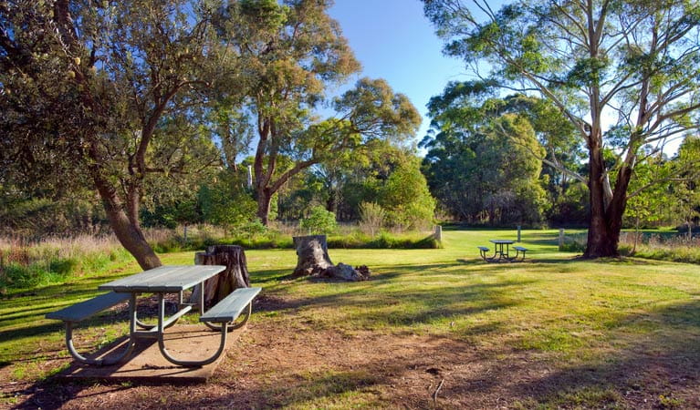 Cecil Hoskins picnic area | NSW National Parks