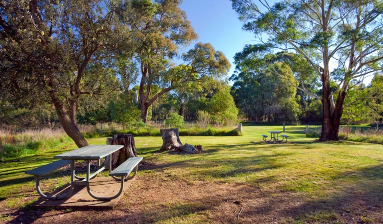 Cecil Hoskins picnic area, Cecil Hoskins Nature Reserve. Photo: Nick Cubbin &copy; OEH