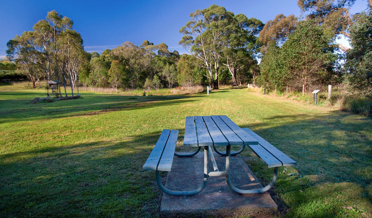 Cecil Hoskins picnic area, Cecil Hoskins Nature Reserve. Photo: Nick Cubbin &copy; OEH