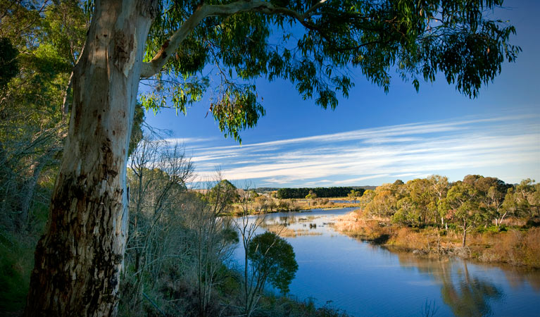 Cecil Hoskins Nature Reserve. Photo: Nick Cubbin &copy; DPIE