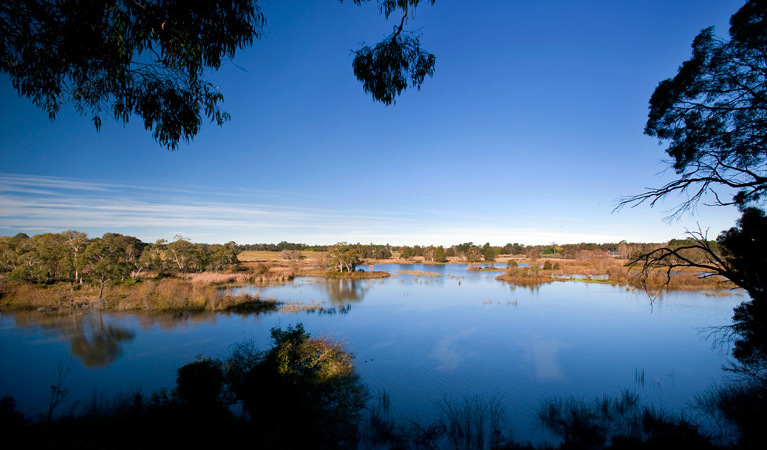 Cecil Hoskins Nature Reserve. Photo: Nick Cubbin &copy; DPIE