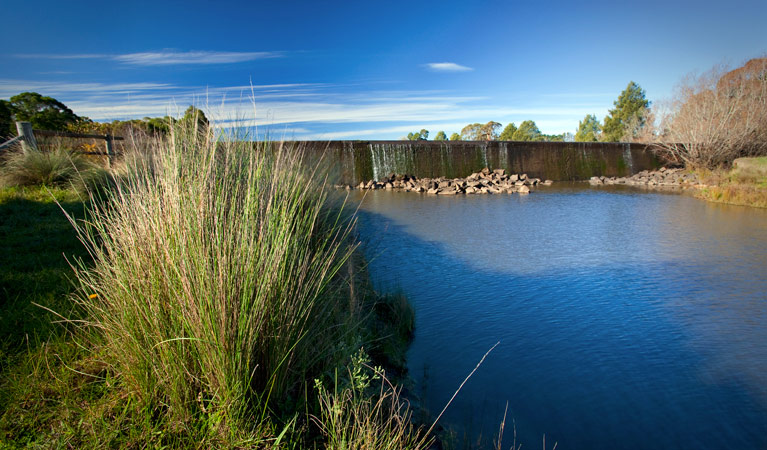 Weir View Walk, Cecil Hoskins Nature Reserve. Photo: Nick Cubbin &copy; DPIE