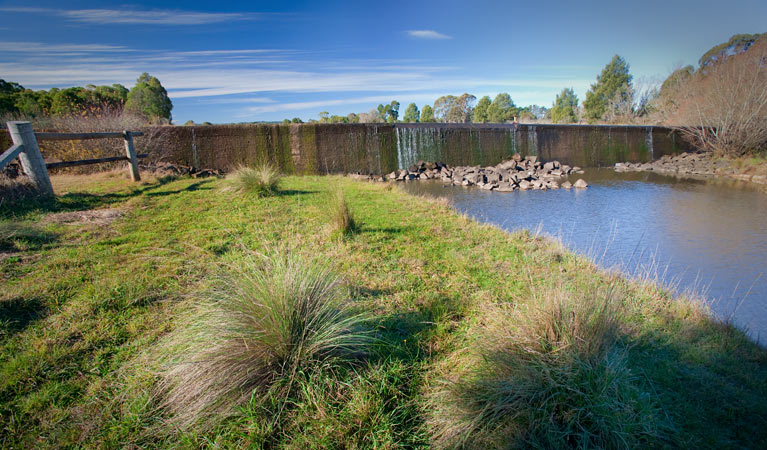 Weir View walk, Cecil Hoskins Nature Reserve. Photo: Nick Cubbin &copy; OEH