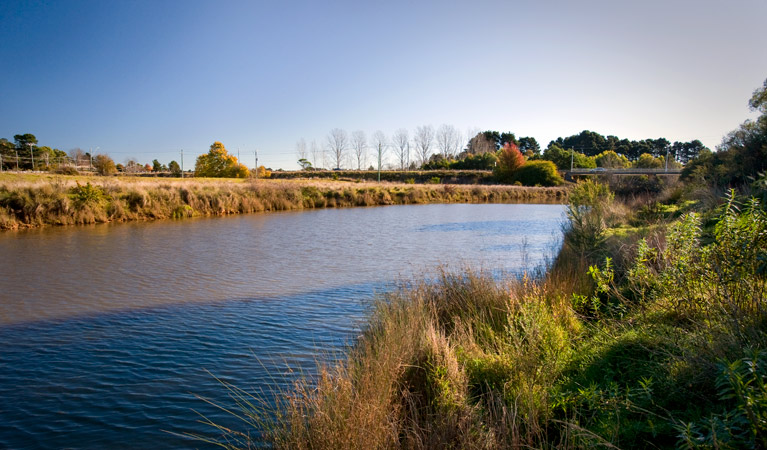Wingecarribee River walk, Cecil Hoskins Nature Reserve. Photo: Nick Cubbin