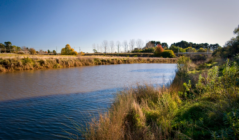 Wingecarribee River walk, Cecil Hoskins Nature Reserve. Photo: Nick Cubbin