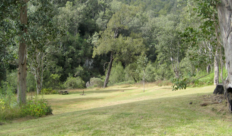 A gentle, grassy slope down to a picnic table, Doone Goonge campground, Chaelundi National Park. Photo: A Harber/NSW Government