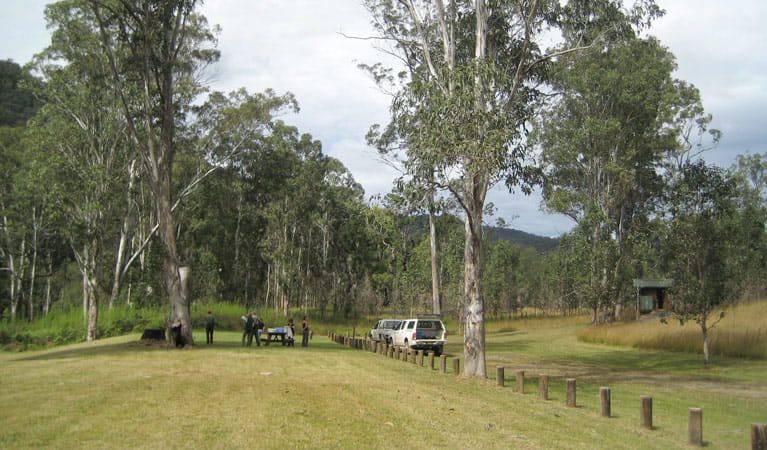 Campers arrive at Doon Goonge campground, Chaelundi National Park. Photo: A Harber/NSW Government