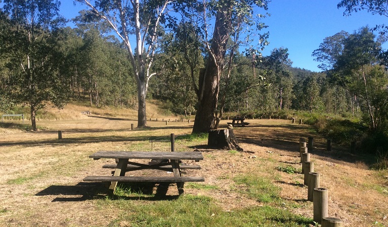 Picnic area in Doon Goonge campground, Chaelundi National Park. Photo: Andrew Pitzen/OEH