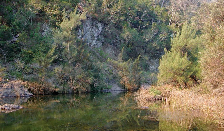 Chandlers Creek, Doon Goonge campground, Chaelundi National Park. Photo: A Harber/NSW Government