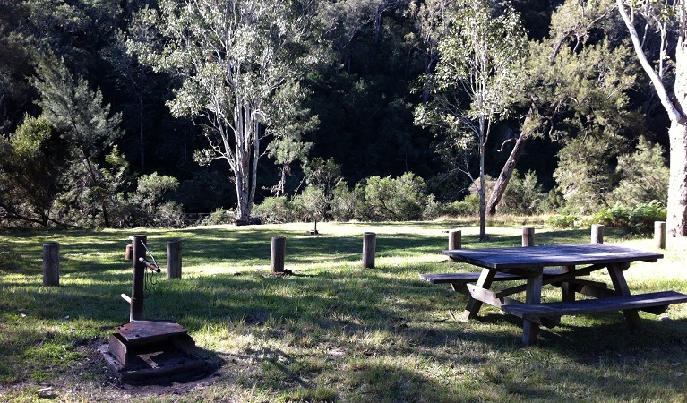 Picnic table in Doon Goonge campground, Chaelundi National Park. Photo: Andrew Pitzen/OEH