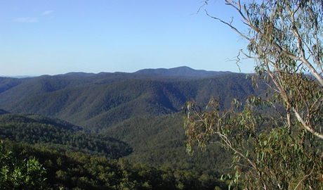 Chaelundi National Park. Photo: A Harber 