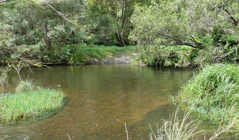 Chandlers Creek Crossing, Chaelundi National Park. Photo: A Ingarfield/NSW Government
